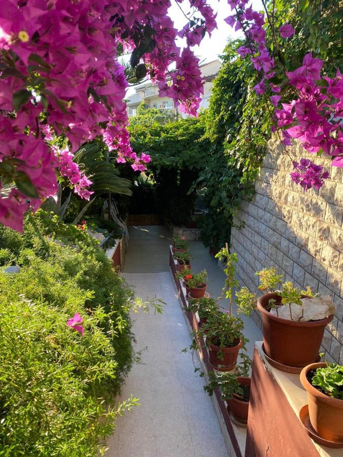 Villa Tania Hvar Town Exteriér fotografie