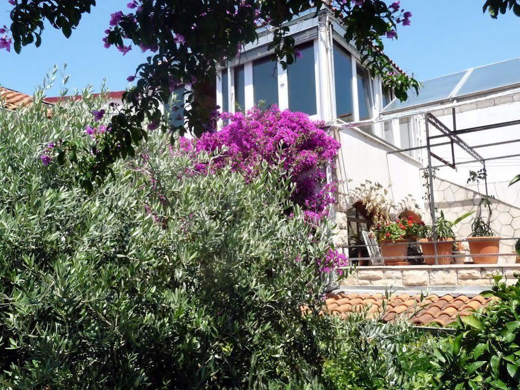 Villa Tania Hvar Town Exteriér fotografie